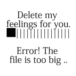 Delete my feelings for you. Error.The file is too big.