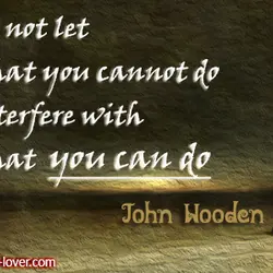 Do not let what you cannot do interfere with what you can do