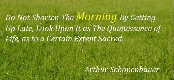 Do not shorten the morning by getting up late, look upon it as the quintessence of life as to a certin extent sacred