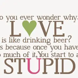 Do you ever wonder why Love is like drinking beer ? It's because once you...