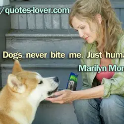 Dogs never bite me. Just humans.