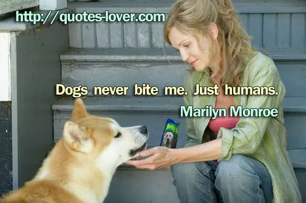 Dogs never bite me. Just humans.
