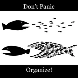 Don't Panic.Organize!