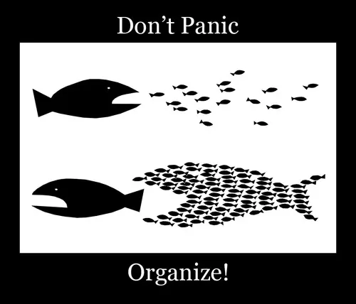 Don't Panic.Organize!