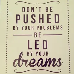 Don't be pushed by your problems be led by your dreams