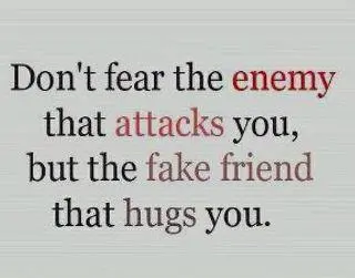 Don't fear the enemy that attacks you, but the fake friend that hugs you.