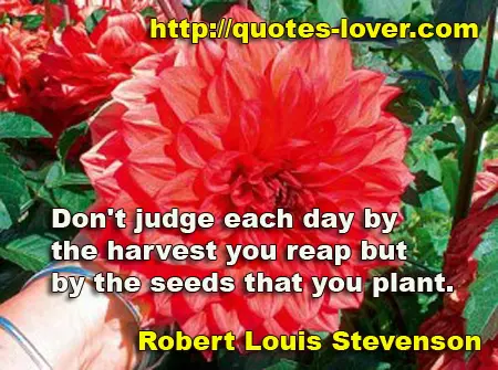 Don't judge each day by the harvest you reap but by the seeds that you plant.” 