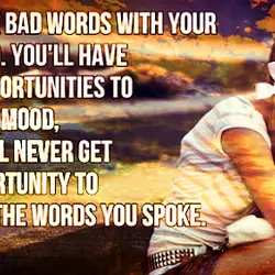 Don't mix bad words with your bad mood. You'll have many opportunities to change a...