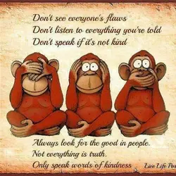 Don't see everyone's flaws, Don't listen to everything you're told, Don't speak if it's not...