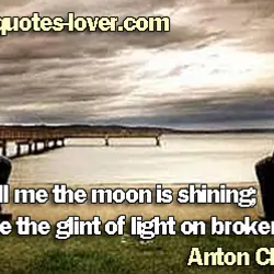 Don't tell me the moon is shining; show me the glint of light on broken...