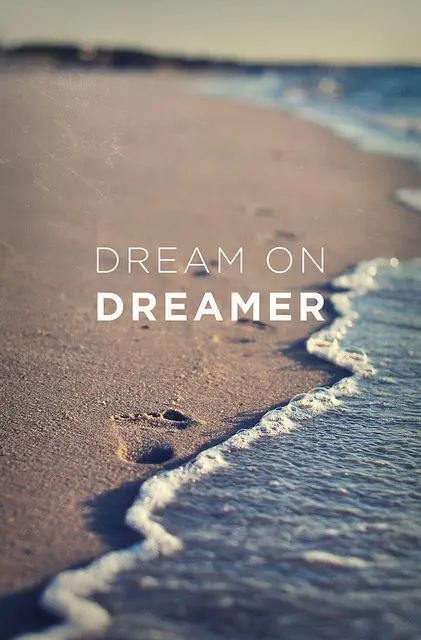 Dream on DREAMER!