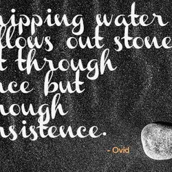 Dripping water hollows out stone not through force but through persistence