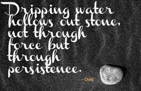 Dripping water hollows out stone not through force but through persistence