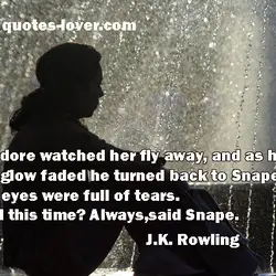 Dumbledore watched her fly away, and as her silvery glow faded he turned back to...