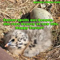 Easter spells out beauty, the rare beauty of new life. Happy Easter!