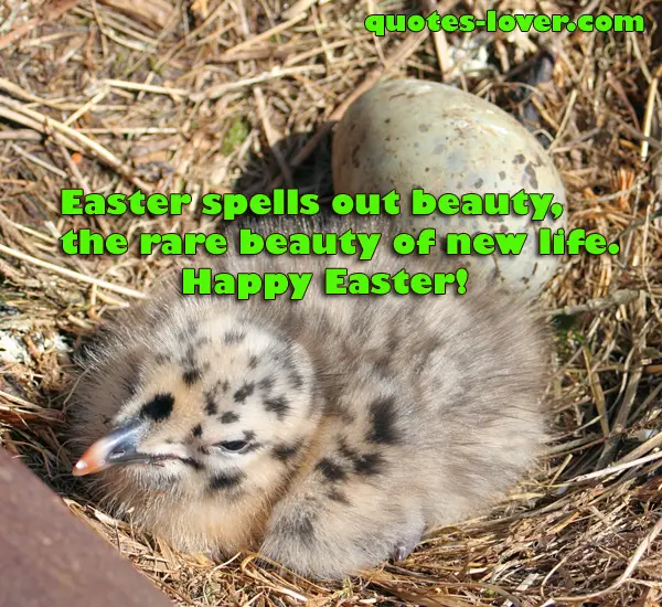 Easter spells out beauty, the rare beauty of new life. Happy Easter!