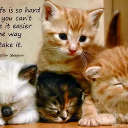 No life is so hard that you cant make it easier by the way you...