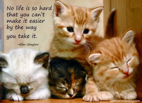 No life is so hard that you cant make it easier by the way you take it.