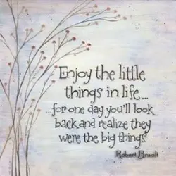Enjoy the little things, for one day you may look back and realize they were...