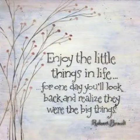 Enjoy the little things, for one day you may look back and realize they were the big things.