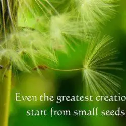 Even the greatest creations start from small seeds