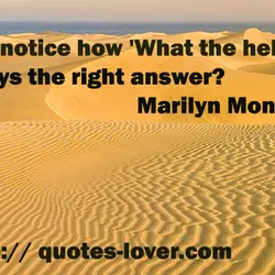 Ever notice how 'What the hell' is always the right answer?