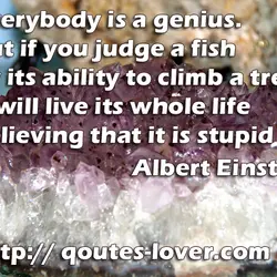Everybody is a genius. But if you judge a fish by its ability to climb...