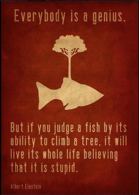 Everybody is a genius but if you judge a fish by its ability to climb a tree, it will live its whole life believing that its stupid.