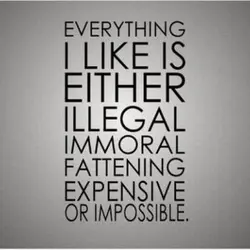 Everything I like is either illegal, immoral, fattening, expensive or impossible