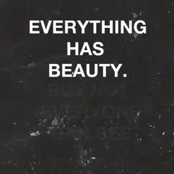 Everything has beauty but not everyone can see it