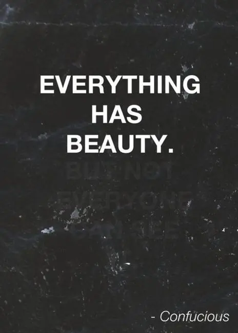 Everything has beauty but not everyone can see it 