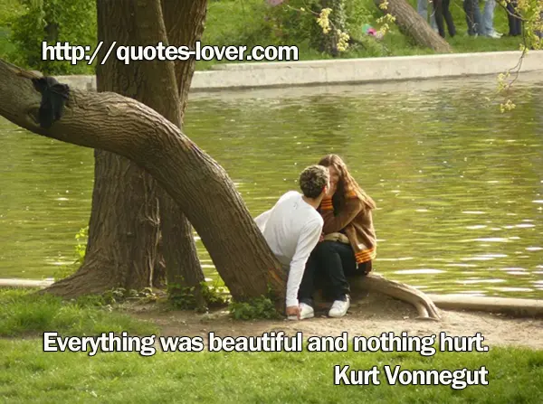 Everything was beautiful and nothing hurt.