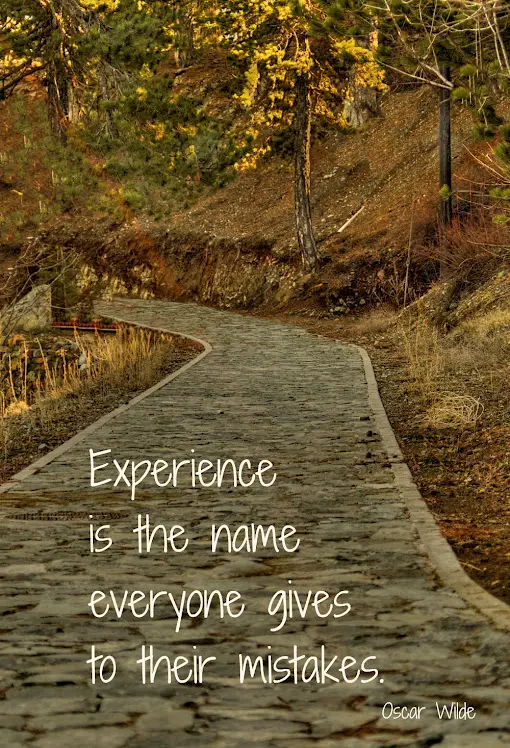 Experience is the name everyone gives to their mistakes.