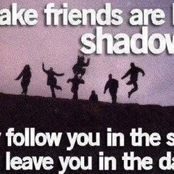 Fake friends are like shadows they follow you in the sun but leave you in...