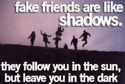 Fake friends are like shadows they follow you in the sun but leave you in the dark