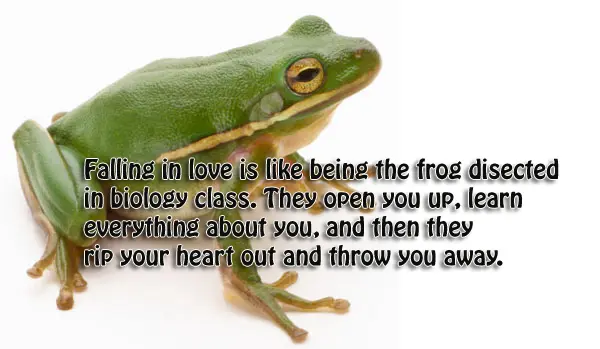 Falling in love is like being the frog disected in biology class. They open you up, learn everything about you, and then they rip your heart out and throw you away.