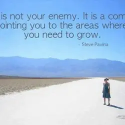 Fear is not your enemy. It is a compass pointing you to the areas where...