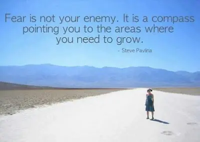 Fear is not your enemy. It is a compass pointing you to the areas where you need to grow