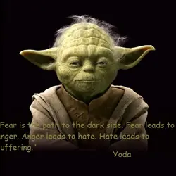 Fear is the path to the dark side. Fear leads to anger. Anger leads to...