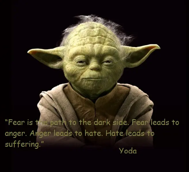 Fear is the path to the dark side. Fear leads to anger. Anger leads to hate. Hate leads to suffering