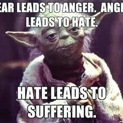Fear leads to anger, anger leads to hate. Hate leads to suffering.