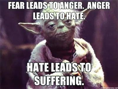 Fear leads to anger, anger leads to hate. Hate leads to suffering.