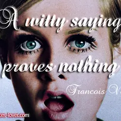 A witty saying proves nothing
