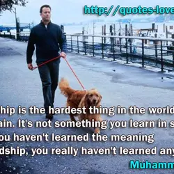 Friendship is the hardest thing in the world to explain. It's not something you learn...