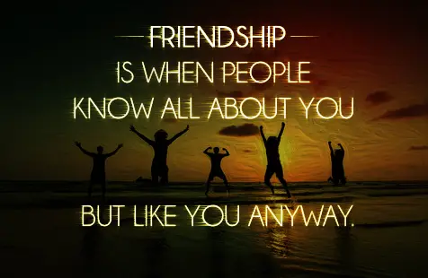 Friendship is when people know all about you but like you anyway