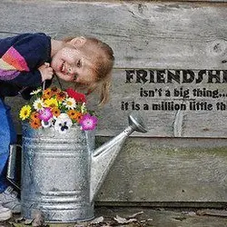 Friendship isn't a big thing.. it is a million little things