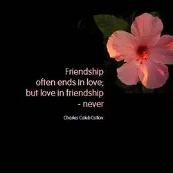 Friendship often ends in love but love in friendship never.