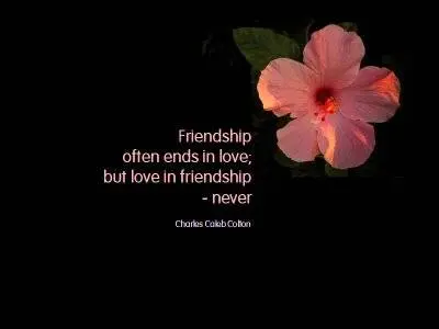 Friendship often ends in love but love in friendship never.