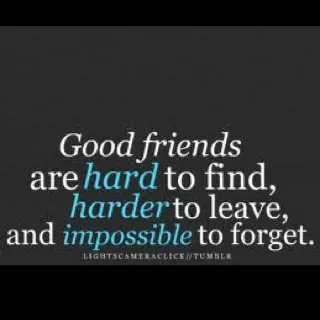 Good friends are hard to find, harder to leave and impossible to forget