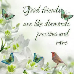 Good friends are like diamonds, precious and rare
